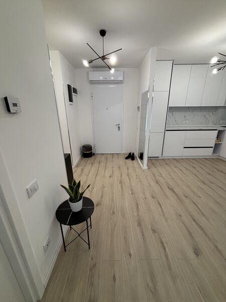 Domenii, Arcadia, Grivita, Ion Mihalache, totul nou, prima inchiriere